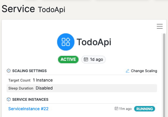 Service Component overview page showing Service Instances.